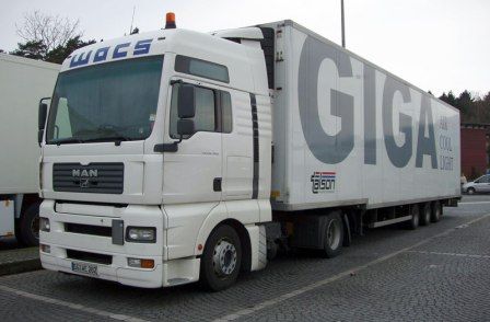 TGA 5